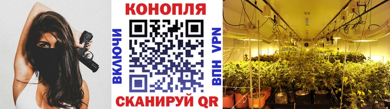 Шишки марихуана индика  где продают   Сурск 